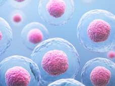 3D rendering of human cells under a microscope.