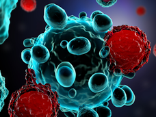 3d illustration of T cells attacking cancer cells. Shows a blue-colored cancer cell with two smaller red cells attached.