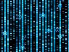 Abstract rendering of a human genome sequencing shows vertical lines of blue and black. Along the lines are small rectangles that vary in intensity, with some bright and others darker. Small icons along the lines of color designate a position of interest along the DNA sequence.