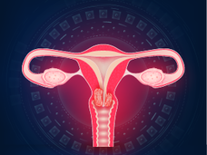 Diagram of woman's cervix.