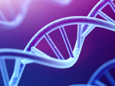 Closeup of DNA strands on a blueish purple background.