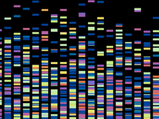 Gene sequence features brightly colored squares against a black background; shows genes in the human genome. 