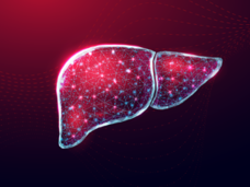 Illustrated liver shows points of light, connected by brightly colored lines. Signifies how researchers are using data and technology to better understand liver cancer. 
