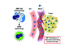 Illustration showing efficacy of the chemotherapy drug DRP-104. On the left, a chemical structure labeled "DRP-104 (Inactive Drug)" is shown, which converts into "DON (Active Drug)". On the right, a cross-section of the body displays a digestive tract labeled "Gut," adjacent blood vessels, and a cluster of yellow tumor cells. Blue molecules enter the bloodstream from the gut and predominantly accumulate in the tumor cells as active green molecules. 
