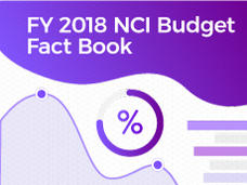 FY 2019 NCI Budget Fact Book promo image with illustration of graphs and data