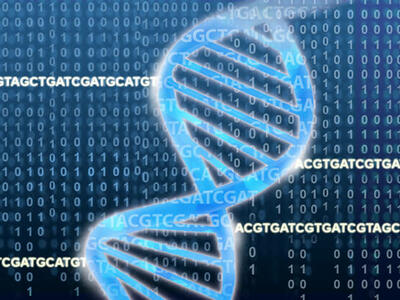 Photo of a DNA double helix overlaid with binary code (ones and zeros) and DNA sequence TCGA.