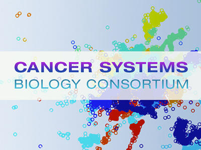 Cancer Systems Biology Consortium