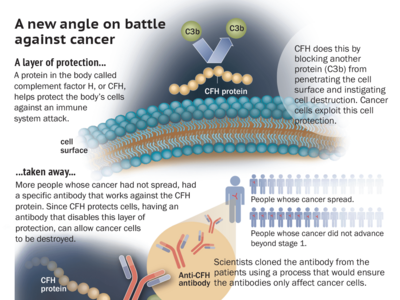 A New Angle on Battle Against Cancer infographic by Duke Health