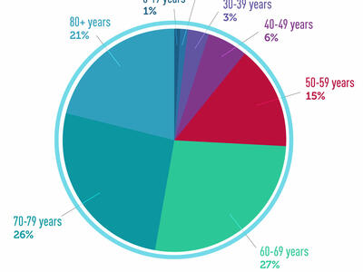 Pie chart of estimated number of survivors in the USA by age.