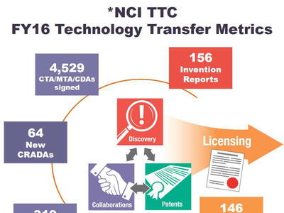 NCI TTC FY16 Technology Transfer Metrics. Discover, Collaborations and Patents lead to Licensing. Counter clockwise: 156 Invention Reports; 4,529 CTA/MTA/CDAs signed; 64 New CRADAs; 319 Active CRADAs, 71 New Issued Patents; 146 New Licenses.