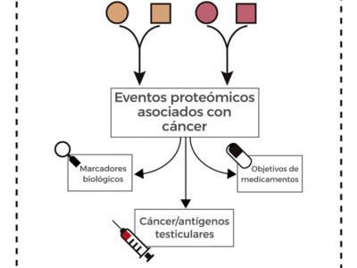 diagram showing cancer-associated proteins