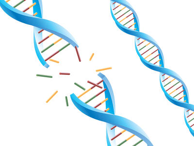Three DNA double helix strands. One DNA strand is depicted as breaking apart, with fragments of the helix and its colored components flying outward.