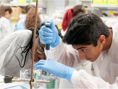 Fellows in a lab using a pipette