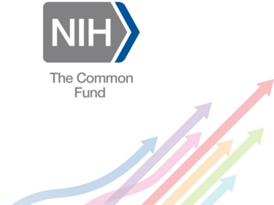 NIH Common Fund FIRST Program Image