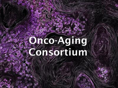 Image of KRAS-driven lung cancer overlayed with "Onco-Aging Consortium"