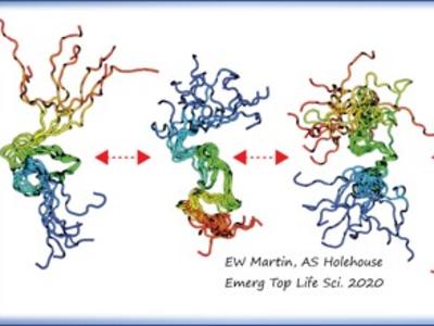Understanding the Role of Intrinsically Disordered Proteins (IDPs) in Cancer Biology Workshop banner with an image of an IDP