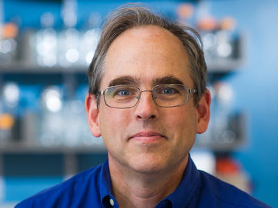 Photo of Dr. Peter Sorger