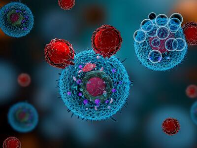 Illustration of T cells attacking a cancer cell.