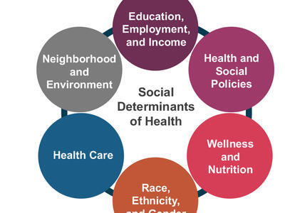 A circle diagram highlighting the different social determinants of health