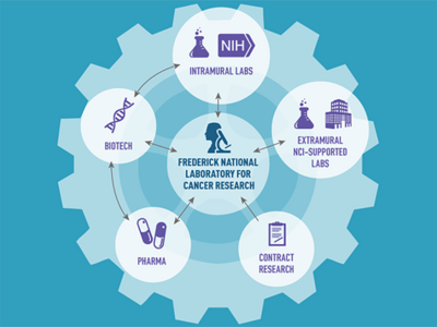 An infographic that has a circle containing “Frederick National Laboratory for Cancer Research” at the center of a large gear. Surrounding the central circle are smaller circles connected by arrows: "Intramural Labs" with an icon of a test tube and NIH logo, "Extramural NCI-Supported Labs" with icons of a test tube and a building, "Contract Research" with an icon of a clipboard, "Pharma" with an icon of pills, and "Biotech" with an icon of a DNA strand.