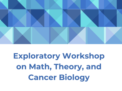 Image of symmetric square shapes; Exploratory Workshop on math, Theory, and Cancer Biology; march 11 - 12, 2024