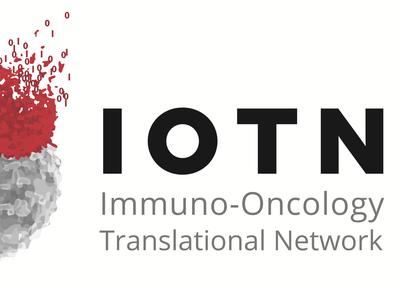 Immuno-Oncology Translational Network (IOTN) image with an immune cell attacking a cancer cell