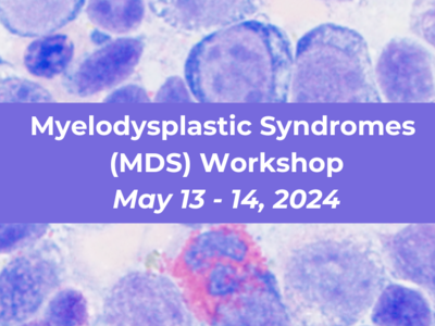 Myelodysplastic Syndromes (MDS) Workshop, May 13 - 14, 2024 banner with a histological image of MDS 