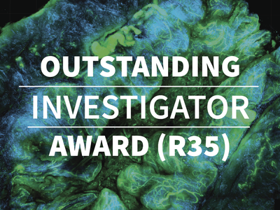 Outstanding Investigator Award (R35)