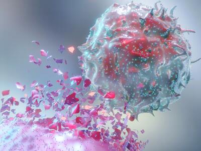 A stylized image of an immune cell attacking a cancer cell.
