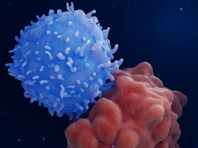 A conceptual illustration of a T cell attacking a cancer cell