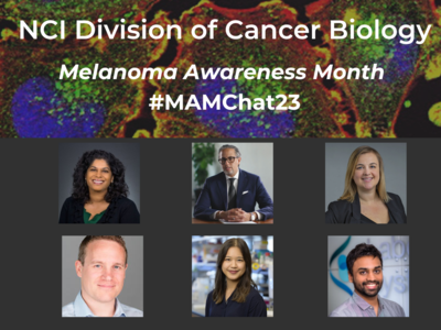 banner with metastatic melanoma cells; NCI Division of Cancer Biology, Melanoma Awareness Month, #MAMChat23; Photos of Dr. Ashani Weeraratna, Dr. Florian Karreth, Dr. Omid Hamid, Dianne Lumaquin-Yin, Dr. Amanda Lund, & Dr. Ajit Johnson Nirmal