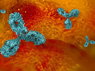 A colorful illustration of Y-shaped antibodies, depicted in a sparkling blue color, among a cancer cell, depicted in a bright-red orange