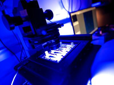 A photograph of a square-shaped device with small channels, illuminated in white light with a large microscope hanging over top, that can measure the stickiness of tumor cells.