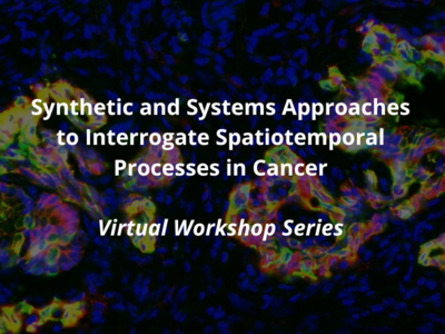 Banner with an immunofluorescent image of pre-cancerous pancreatic tissue in mice with the following text: “Synthetic and Systems Approaches to Interrogate Spatiotemporal Processes in Cancer Virtual Workshop Series”