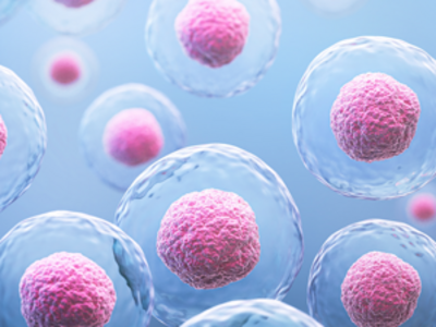 3D rendering of human cells under a microscope.