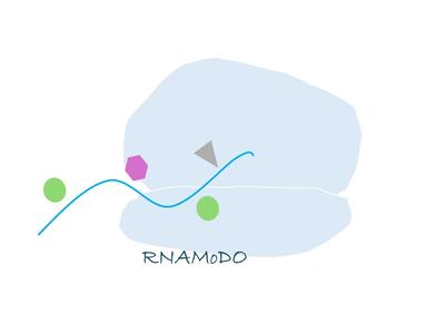 Image of a line with symbols to represent RNA with modifications connected to a ribosome above "RNAMoDO"