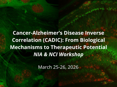 Cancer-Alzheimer's Disease Inverse Correlation (CADIC) Workshop image with immunofluorescent images of cancer cells (left) and the brain from a mouse model of Alzheimer's disease. 