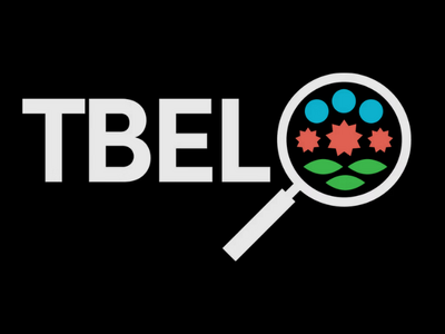 A illustration of a magnifying glass looking at blue, red, and green molecules next to the following text: "TBEL"