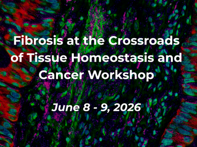 Fibrosis at the Crossroad of Tissue Homeostasis and Cancer Workshop image with a background of an immunofluorescent image of lung desmoplasia