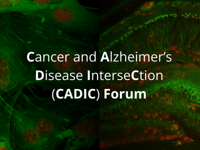 Cancer Alzheimer's Disease Intersection (CADIC) Forums image withcancer cells (left) and the brain from a mouse model of Alzheimer's disease (right)