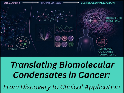 Translating Biomolecular Condensates in Cancer Workshop image with images of RNA and protein in a tumor, molecular networks, and therapeutic targeting of a tumor