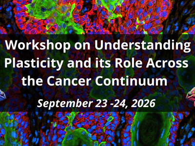 Workshop on Understanding Plasticity and its Role Across the Cancer Continuum image with an immunofluorescent image of skin cancer cells--squamous cell carcinoma, a blue chameleon (left), and a red chameleon (right)