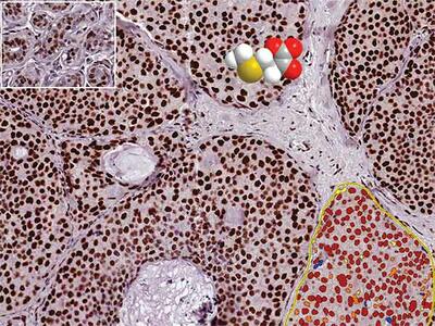 A computer generated image of a small molecule drug sits on top of a microscopically enlarged view of cells.