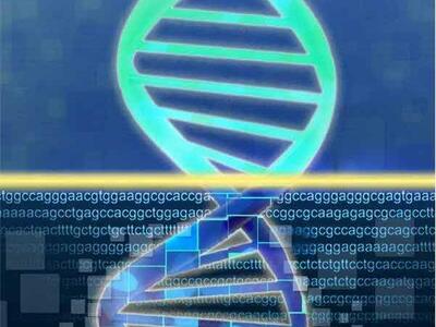 A double helix illustration. On top, the helix is blue and green on a flat blue background; on bottom, the helix has lines within its silhouette, the letters ACGT repeat in the background in different configurations, and the background also has squares of different sizes.
