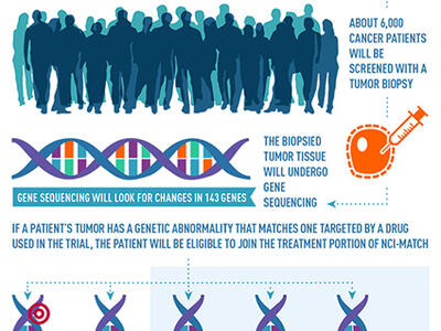 A snippet of an infographic related to tumor biopsies. It starts with talking about 6,00 cancer patients will be screen with a tumor biopsy, then the biopsied tumor undergoing gene sequencing, the gene sequencing looking for changes in 143 genes, and the patient being matched to a NCI-MATCH treatment if their genetic abnormality is target by a drug in that trial.