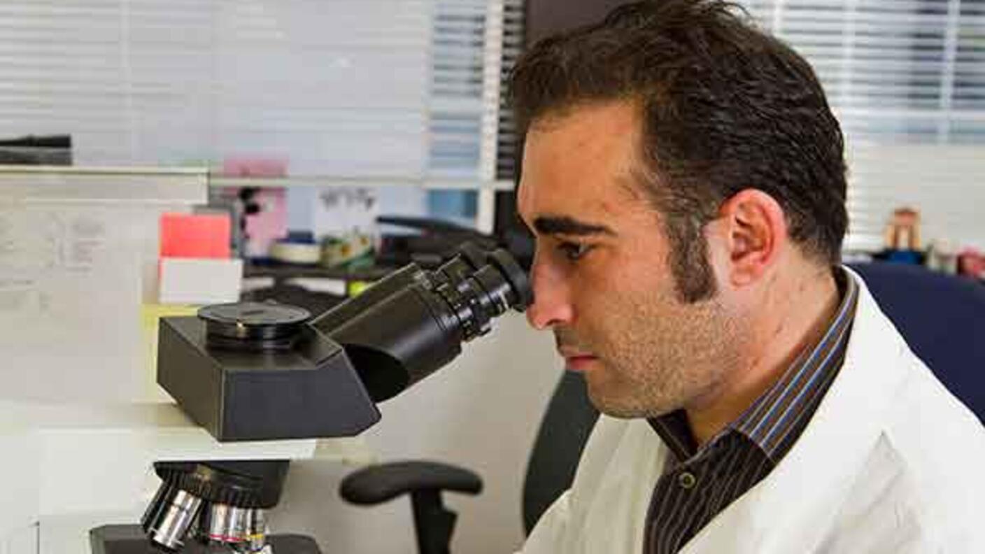 Scientist in white lab coat examining samples through a microscope in a laboratory setting.