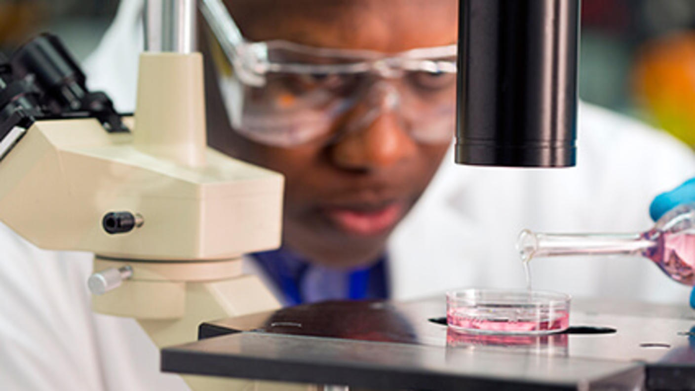 Male researcher adds liquid to a petri dish placed on a microscope stage.