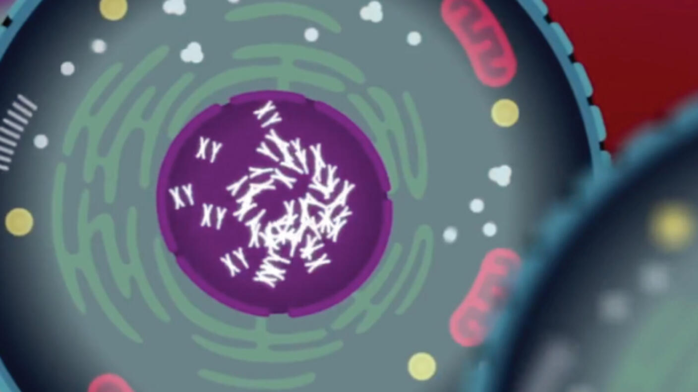 Screenshot from Proteogenomics video