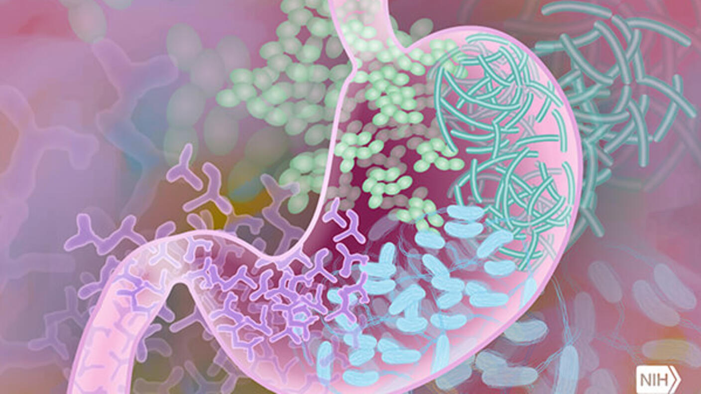 Colorful illustration of a stomach with various bacteria depicted in different shapes and colors.
