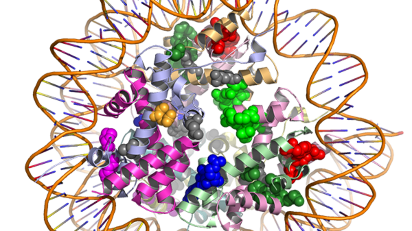 3D Protein Structure